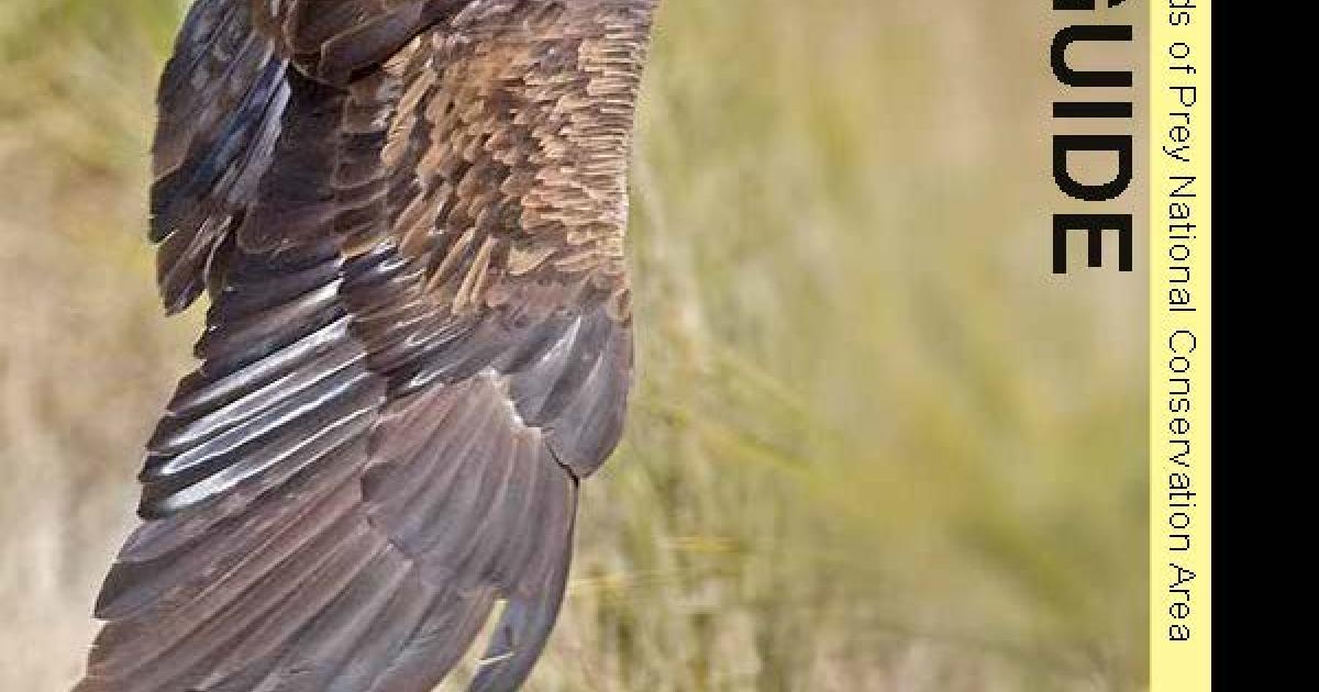 Morley Nelson Snake River Birds of Prey Visitor Guide | Bureau of Land